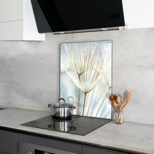 Skleněný panel Pampeliška pampeliška ve větru