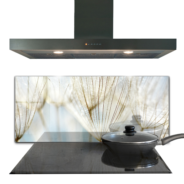 Skleněný panel Pampeliška pampeliška ve větru