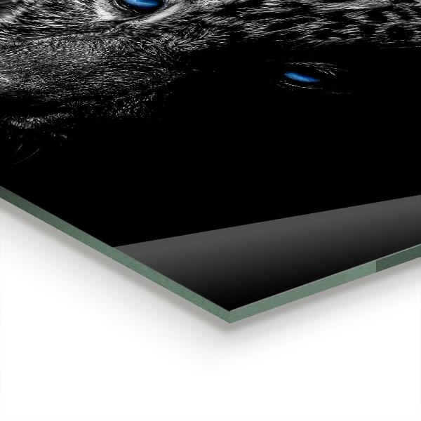 Skleněný panel Divoká kočka dark panther