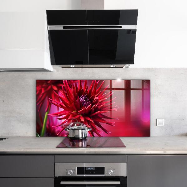 Skleněný panel Červený květ dahlia