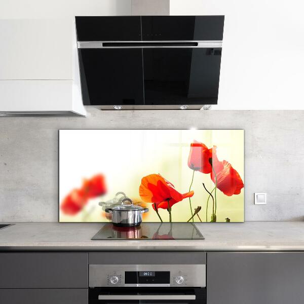 Skleněný panel Polní louka s červenými máky