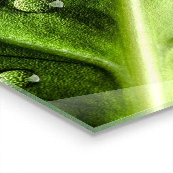 Skleněný panel List s kapkami ranní rosy