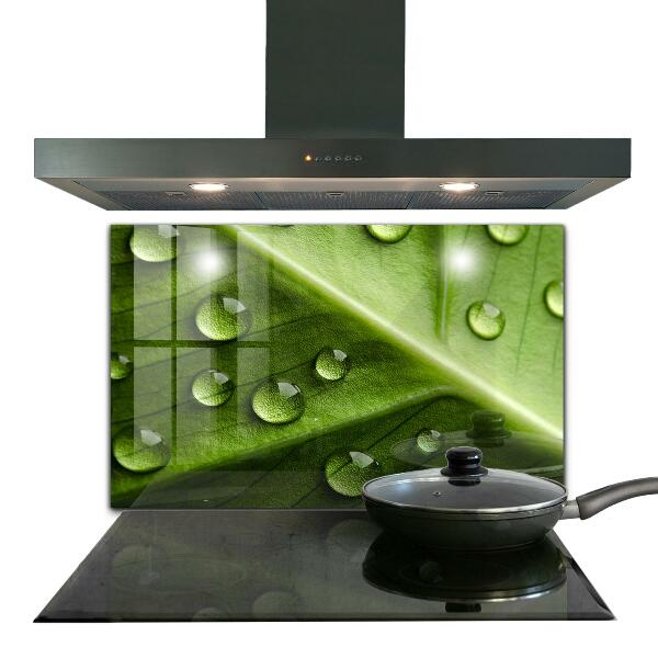 Skleněný panel List s kapkami ranní rosy