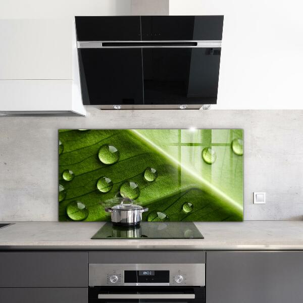 Skleněný panel List s kapkami ranní rosy