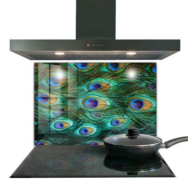 Skleněné obklady do kuchyně Paví peří krásná příroda