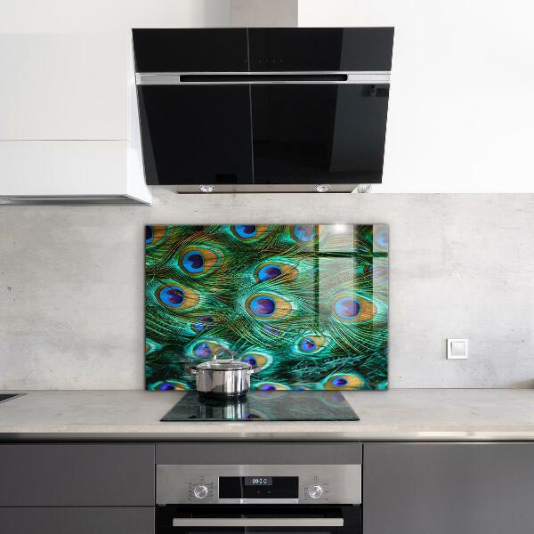 Skleněné obklady do kuchyně Paví peří krásná příroda