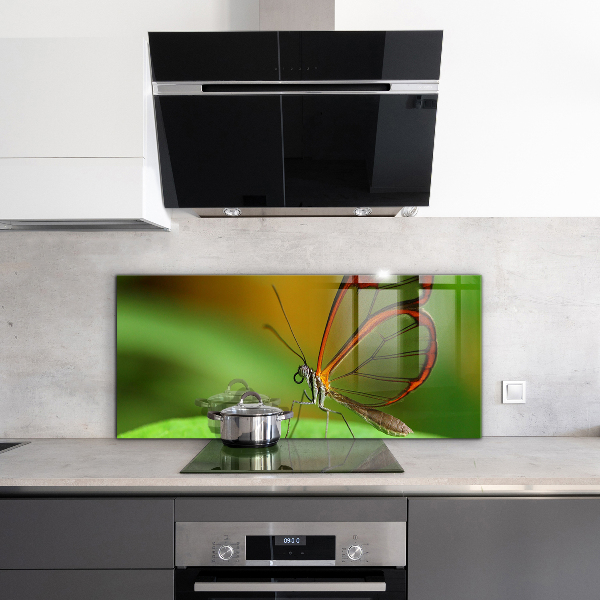 Skleněný panel Motýl na listu