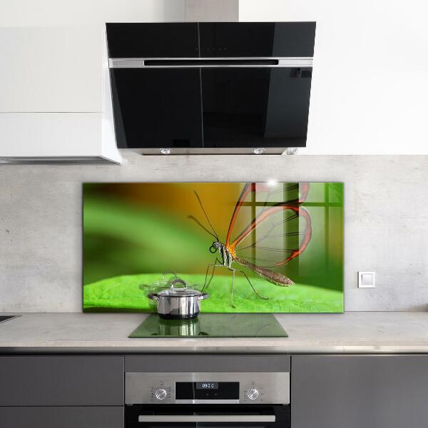 Skleněný panel Motýl na listu