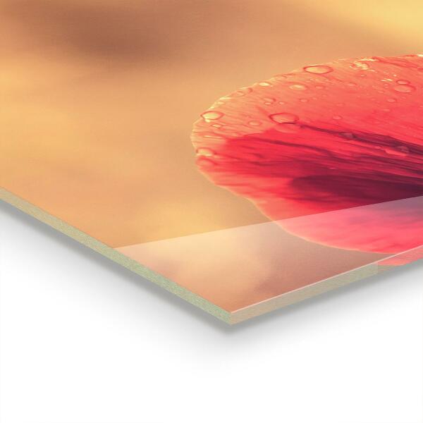 Skleněný panel Vintage mák rostlina