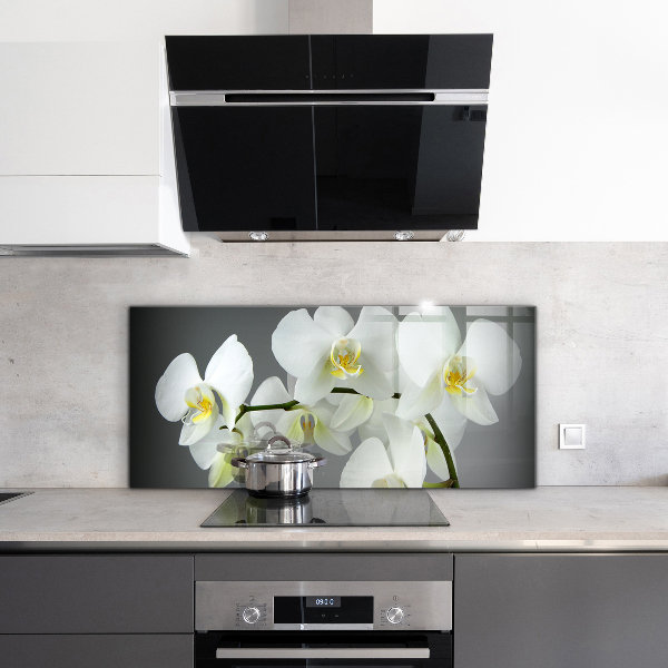 Skleněný panel Bílá orchidej na černém pozadí