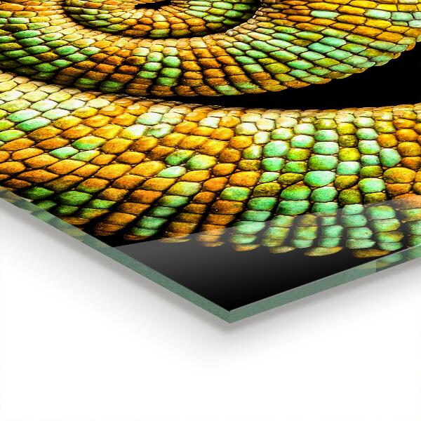 Skleněný panel Příroda chameleon tail