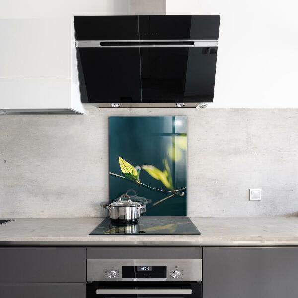 Skleněné obklady do kuchyně Lesklé listí na větvi