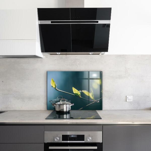 Skleněné obklady do kuchyně Lesklé listí na větvi