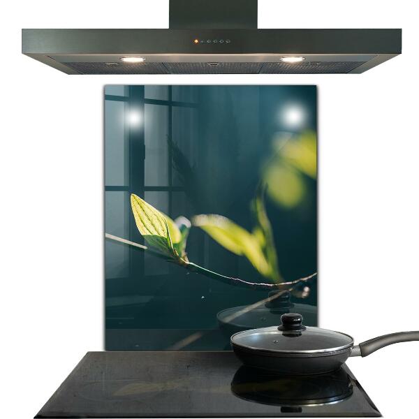 Skleněné obklady do kuchyně Lesklé listí na větvi