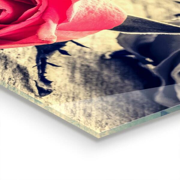 Skleněné obklady do kuchyně Růže symbol lásky