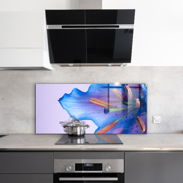 Skleněné obklady do kuchyně Krásná modrá lilie