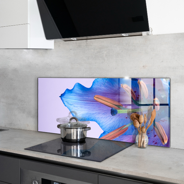 Skleněné obklady do kuchyně Krásná modrá lilie