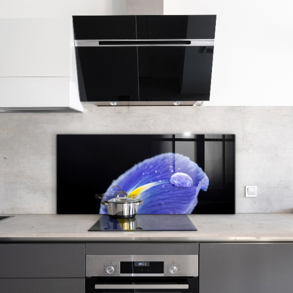 Skleněné obklady do kuchyně Fialový květ iris