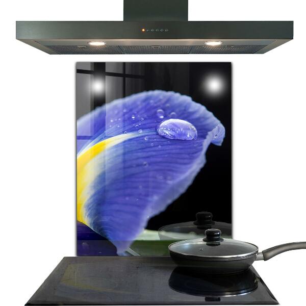 Skleněné obklady do kuchyně Fialový květ iris