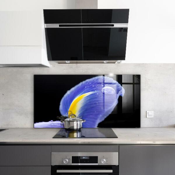 Skleněné obklady do kuchyně Fialový květ iris