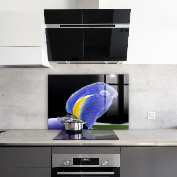 Skleněné obklady do kuchyně Fialový květ iris