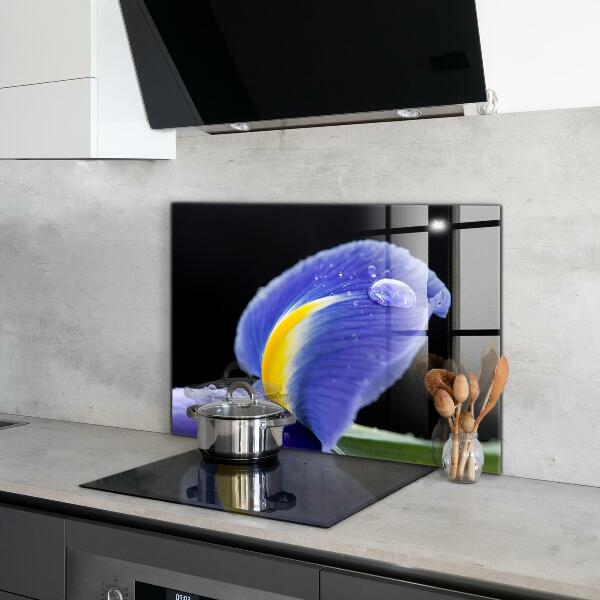 Skleněné obklady do kuchyně Fialový květ iris