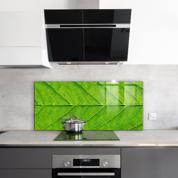 Skleněné obklady do kuchyně Jemné detaily listů