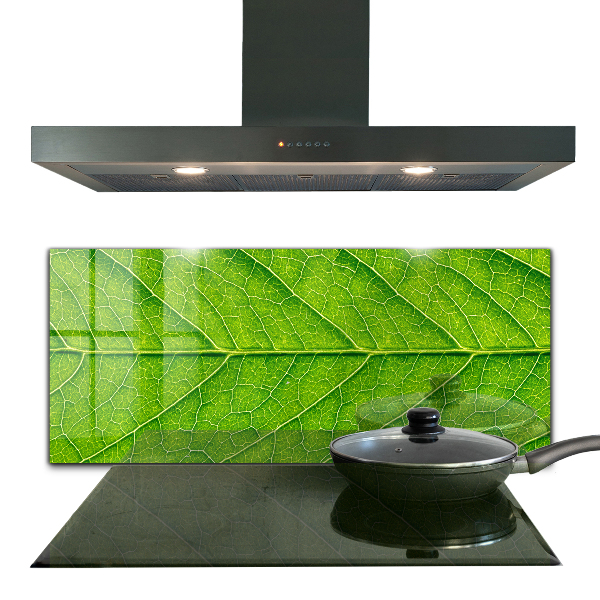 Skleněné obklady do kuchyně Jemné detaily listů