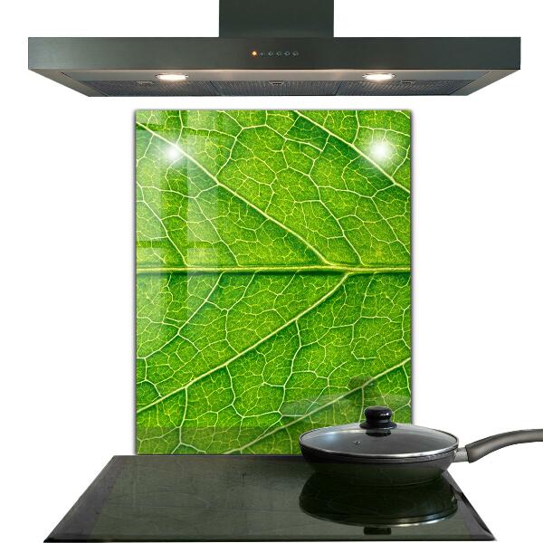 Skleněné obklady do kuchyně Jemné detaily listů