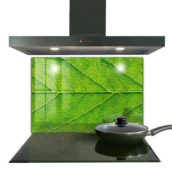 Skleněné obklady do kuchyně Jemné detaily listů