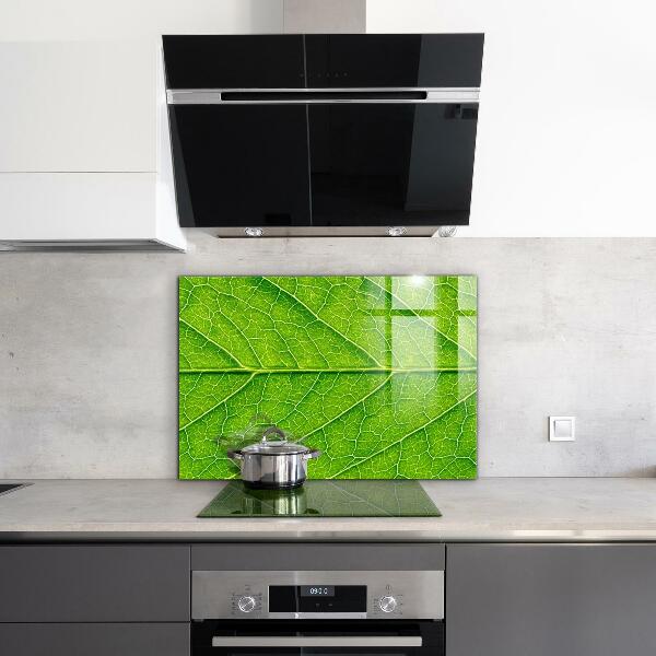 Skleněné obklady do kuchyně Jemné detaily listů