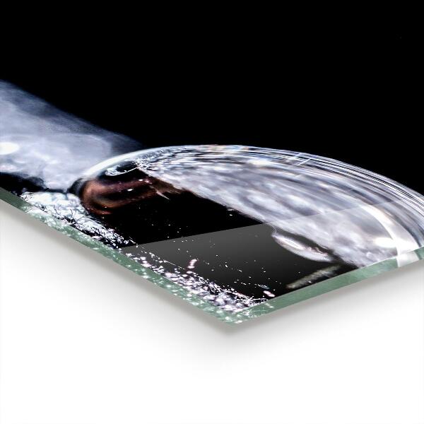 Skleněný panel Kapka rosy po ránu