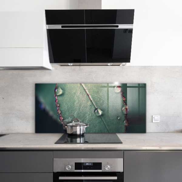 Skleněné obklady do kuchyně List s kapkou rosy