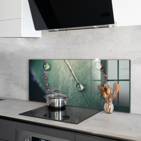 Skleněné obklady do kuchyně List s kapkou rosy