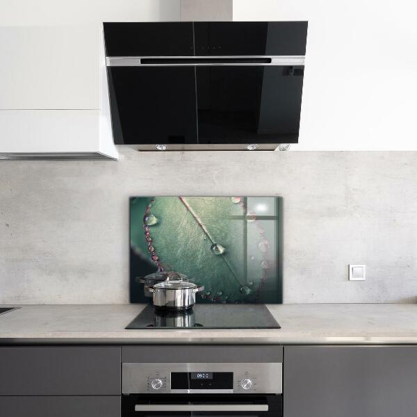 Skleněné obklady do kuchyně List s kapkou rosy