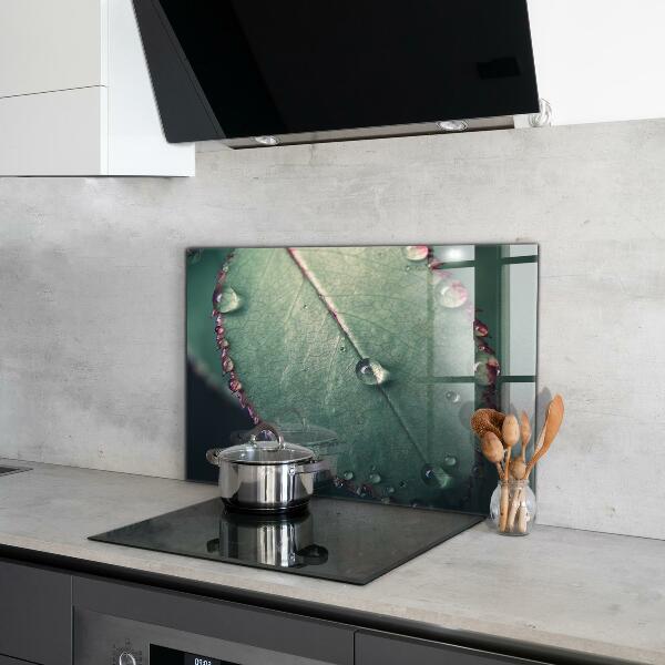 Skleněné obklady do kuchyně List s kapkou rosy