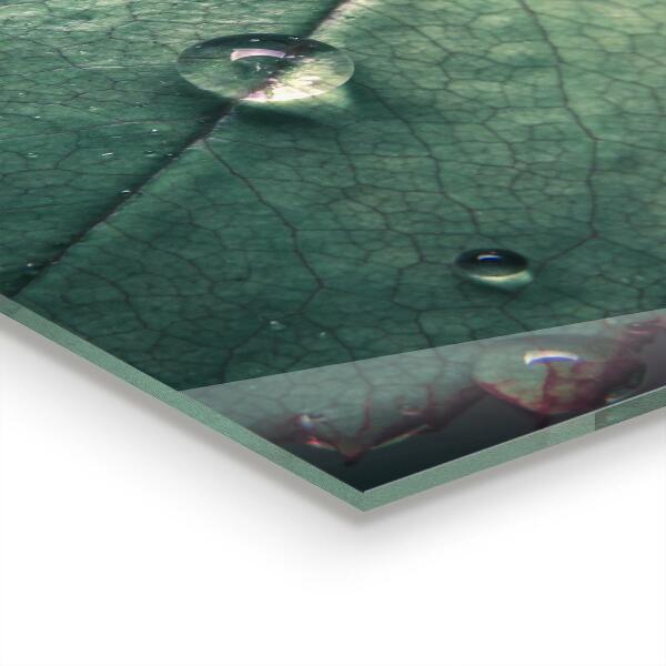 Skleněné obklady do kuchyně List s kapkou rosy