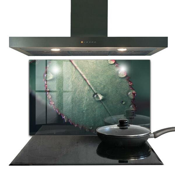 Skleněné obklady do kuchyně List s kapkou rosy