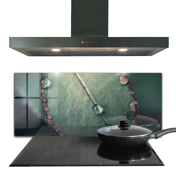 Skleněné obklady do kuchyně List s kapkou rosy