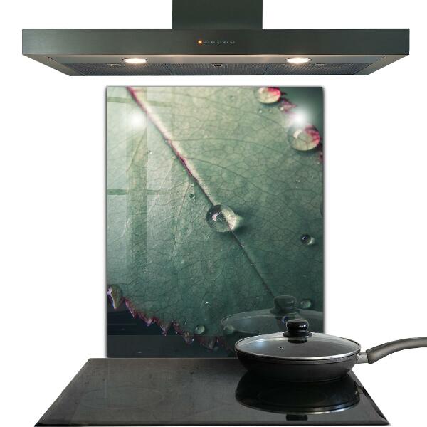 Skleněné obklady do kuchyně List s kapkou rosy