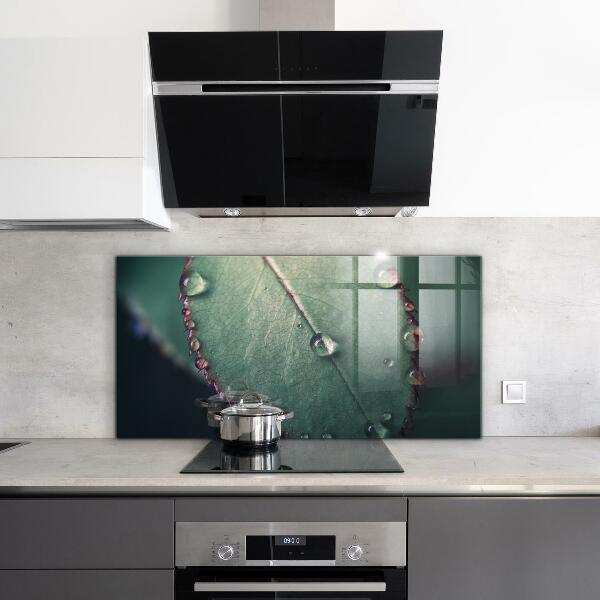 Skleněné obklady do kuchyně List s kapkou rosy