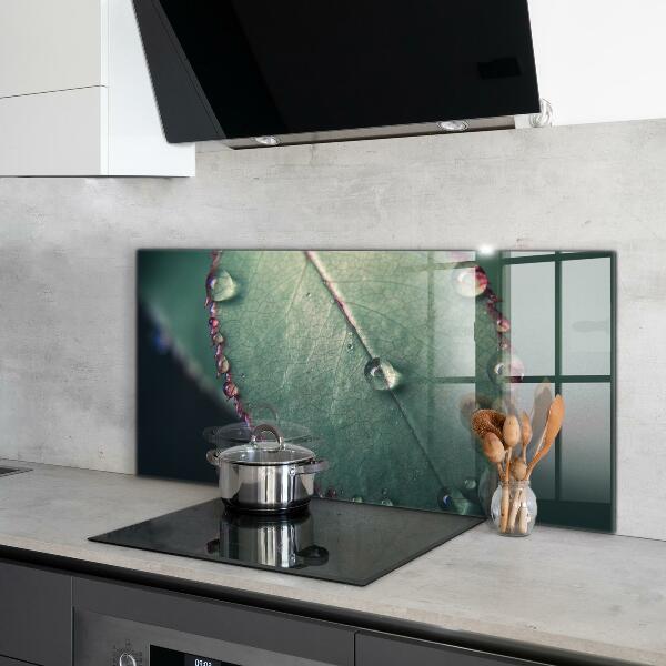 Skleněné obklady do kuchyně List s kapkou rosy