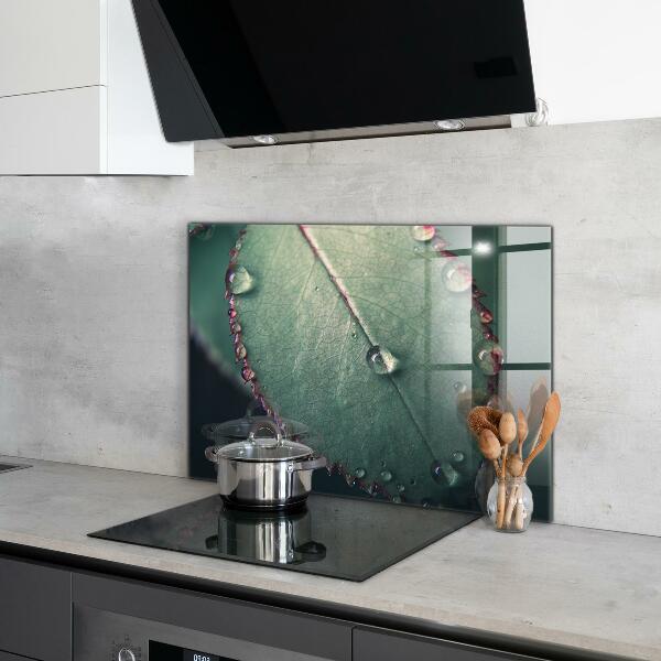 Skleněné obklady do kuchyně List s kapkou rosy