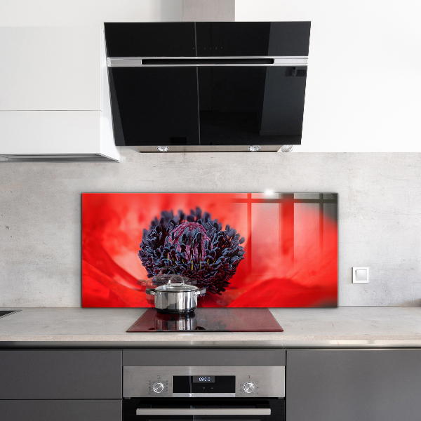 Skleněný panel Detaily červeného máku