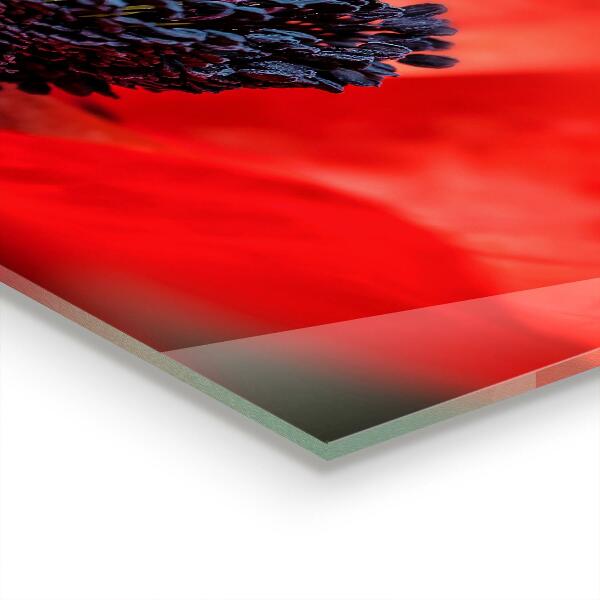 Skleněný panel Detaily červeného máku