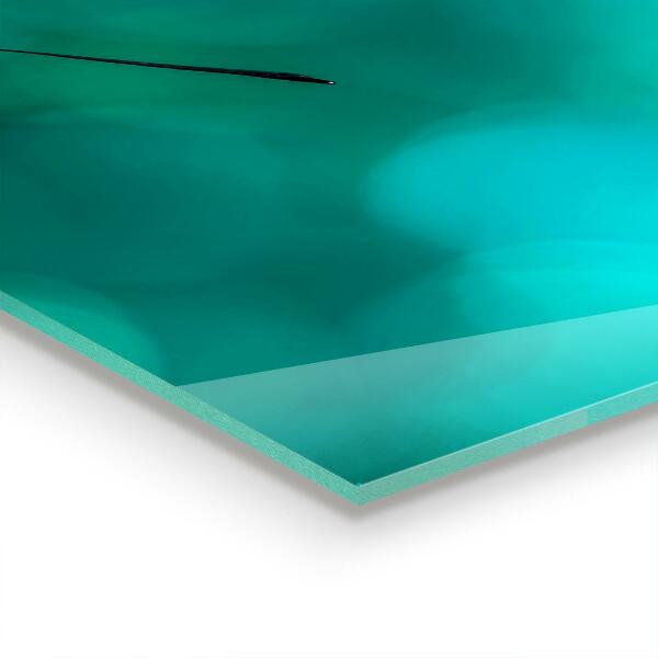 Skleněný panel Krásný motýl v přírodě