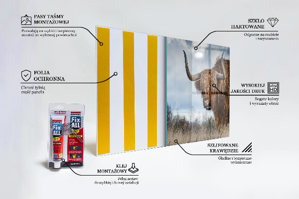 Skleněný panel Kráva z vysočiny boho