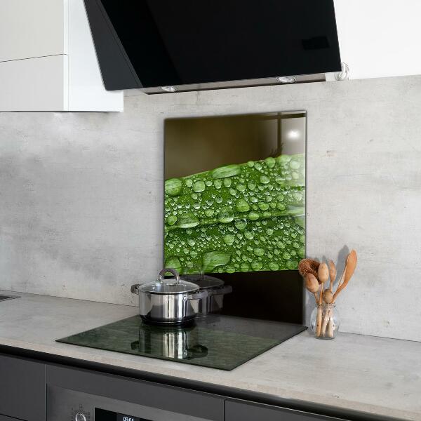 Skleněný panel Zelený list po dešti