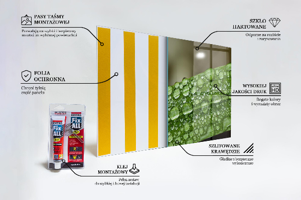 Skleněný panel Zelený list po dešti