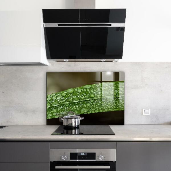 Skleněný panel Zelený list po dešti